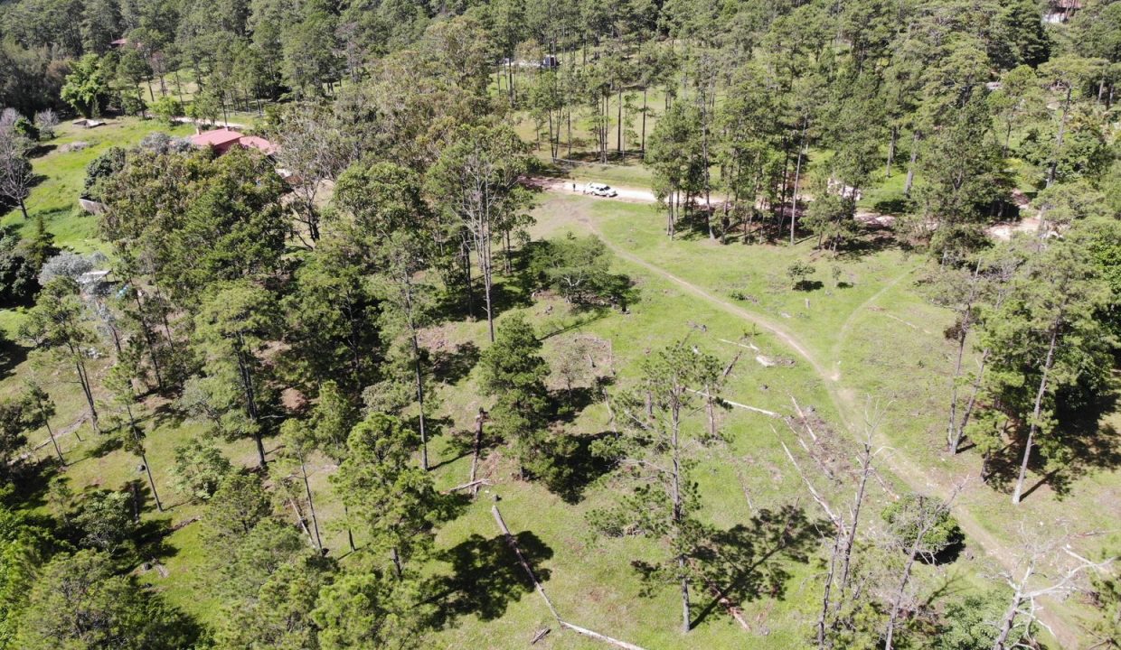 9515821_casavalle9_(12)