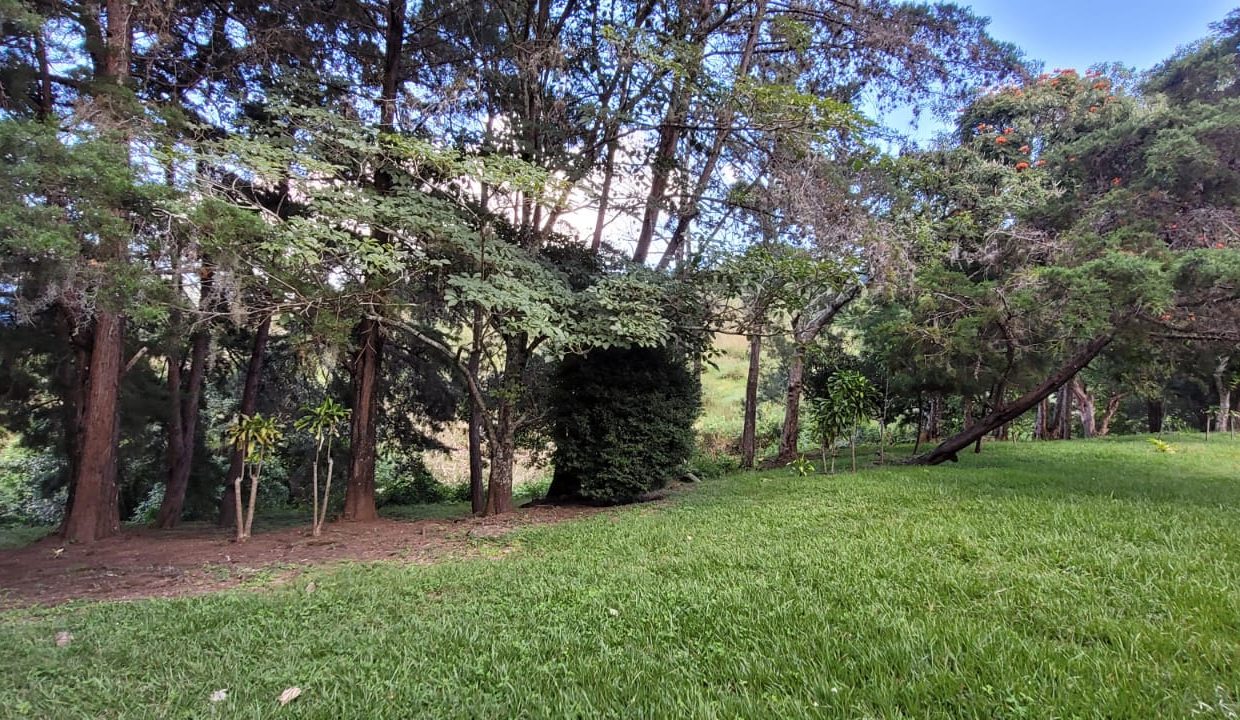 0635bdaa-4344-4896-a0d7-144c7c7c5c32