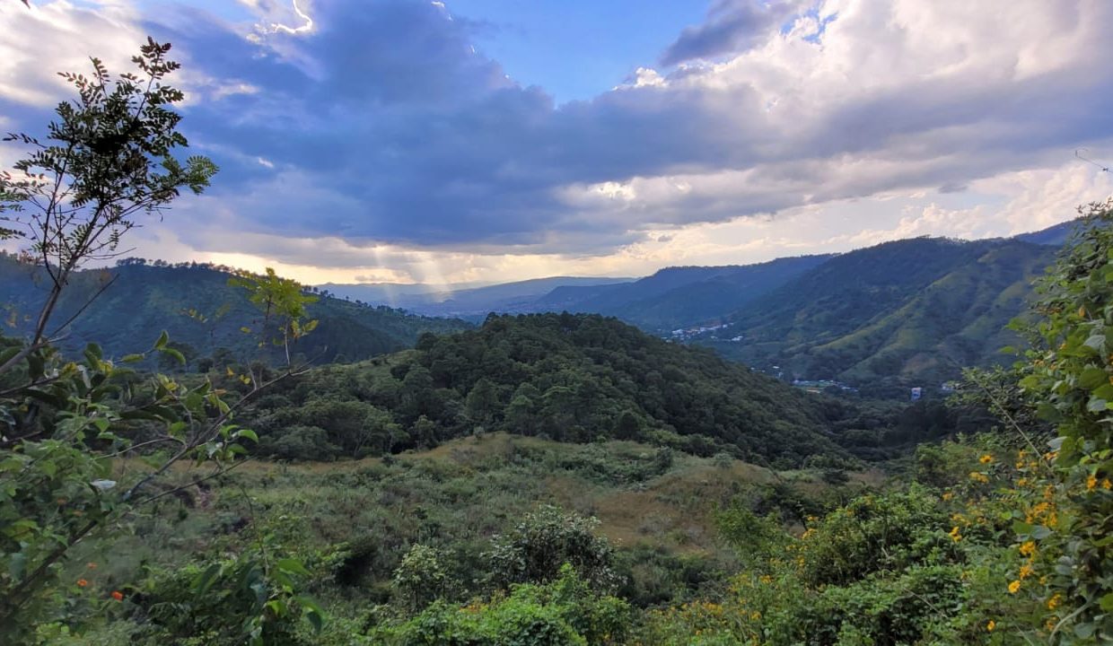 0ea323db-13ad-4d8a-a95a-65beb229efd9