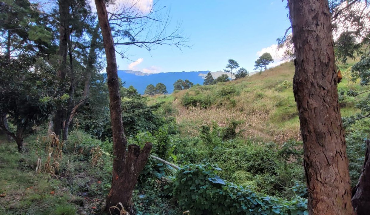 19267e0f-0d01-4fba-a910-376b213f5b31