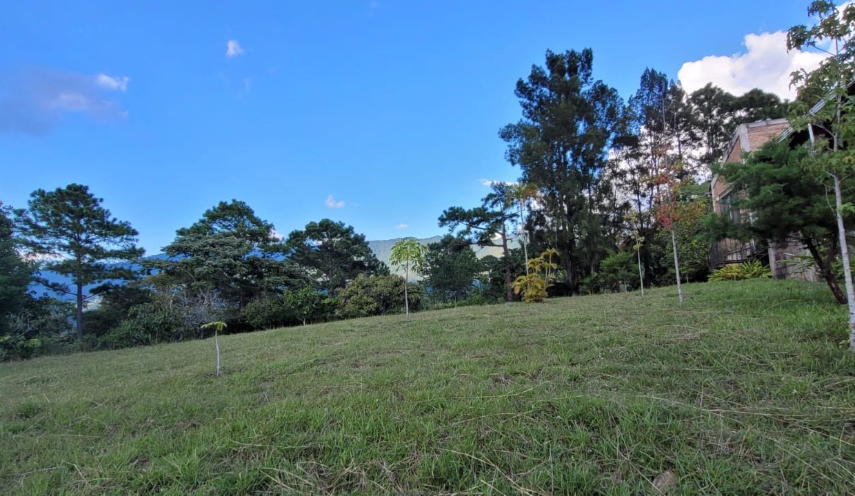 2257052f-f2c7-4d65-9dee-8a8cf0bf611b