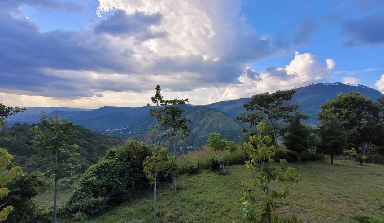 2e423cb2-c9ad-441b-9015-d263fa71082d