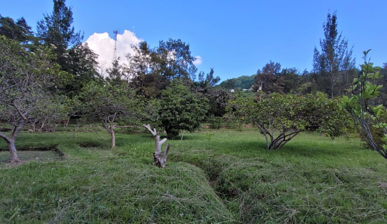 2e5c56f9-d070-46e8-afc4-6c2d5e19f8fa