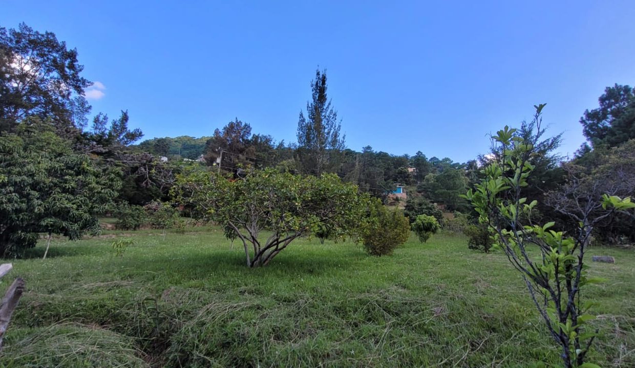 839dee10-98b5-4d30-9f03-7859b5d9c0b3