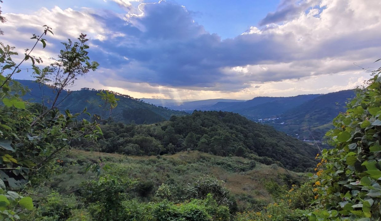 9036f236-a563-4b6a-a64b-d9be90ce05d7