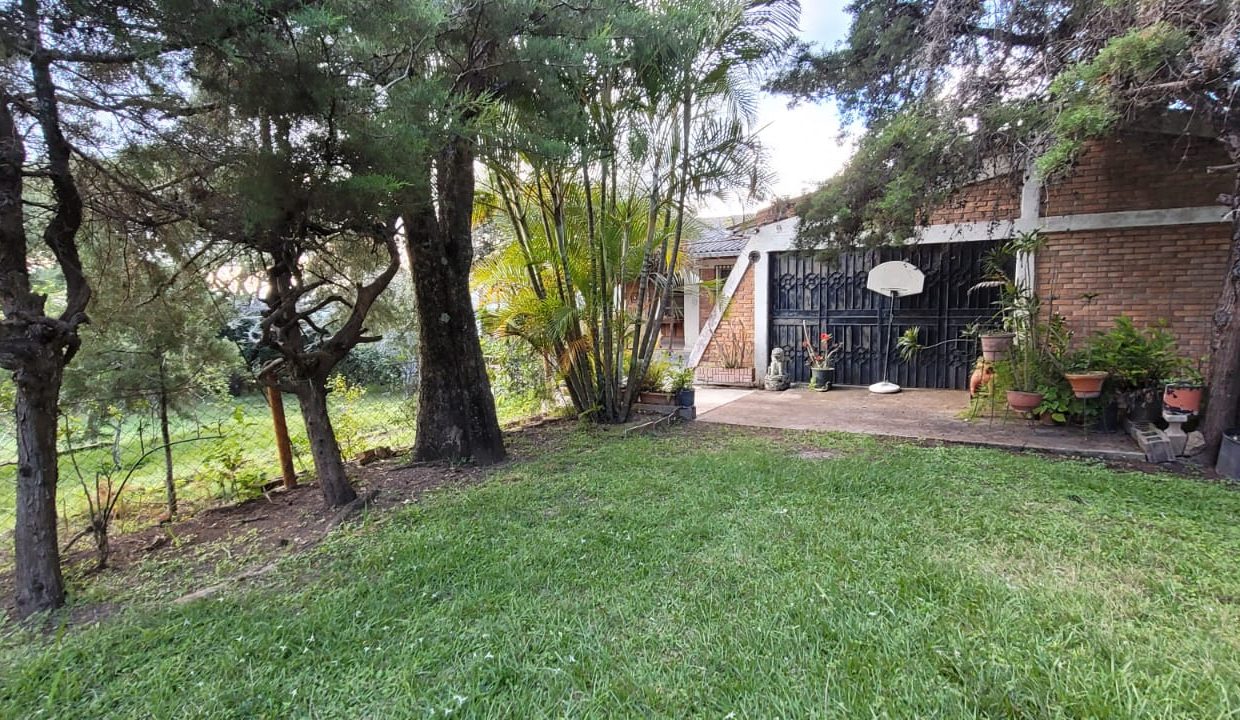 991d1647-8eda-4ae6-871e-5ecd75eeaba1