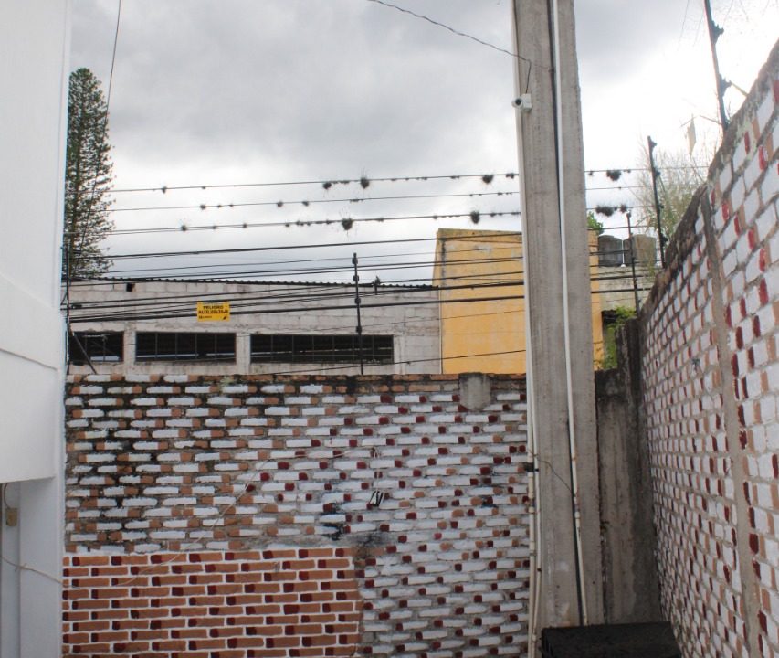 WhatsApp Image 2022-11-03 at 8.20.35 AM (3)