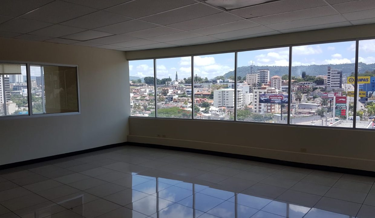 WhatsApp Image 2022-11-17 at 2.52.08 PM