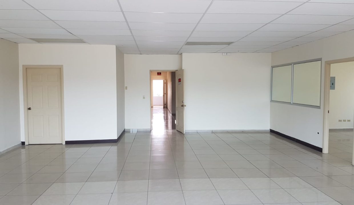 WhatsApp Image 2022-11-17 at 2.52.09 PM (1)