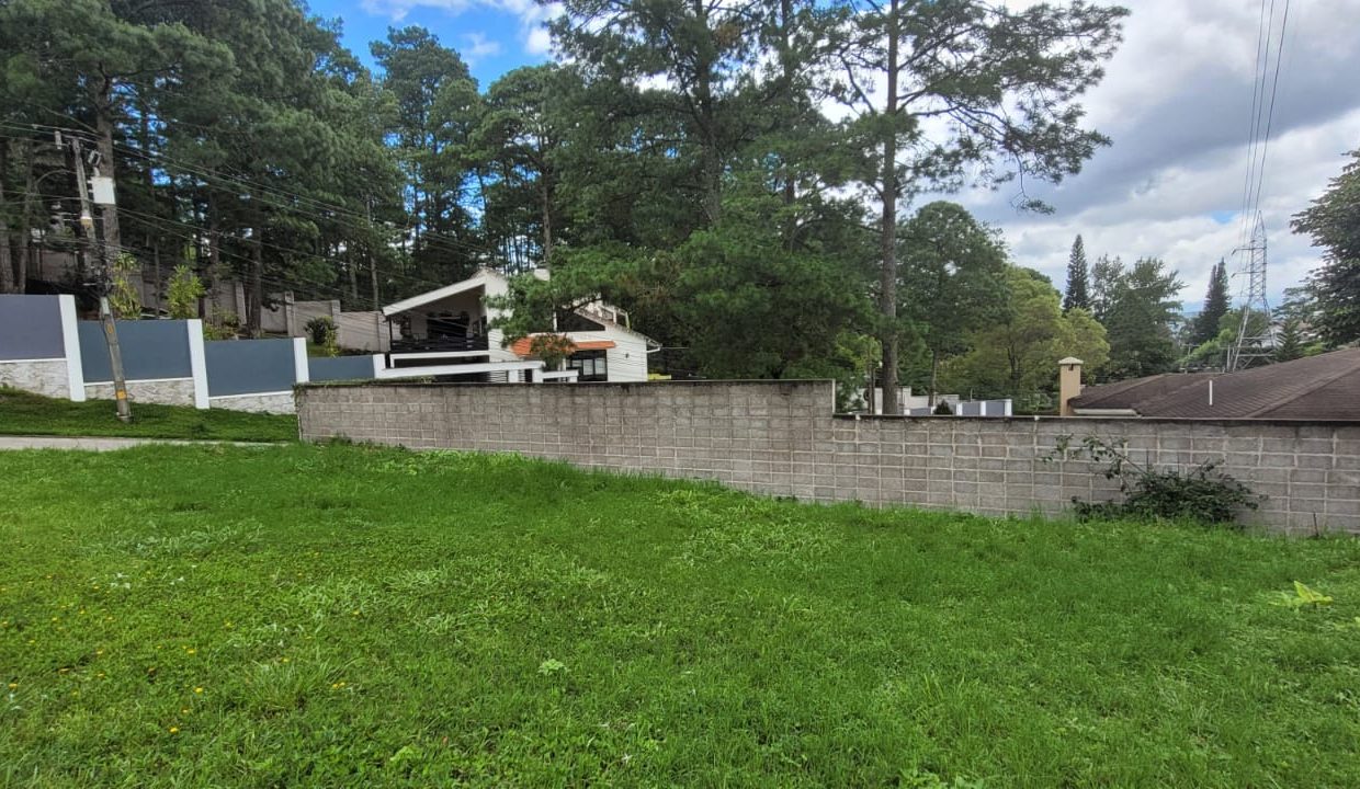 WhatsApp Image 2022-11-23 at 2.54.44 PM