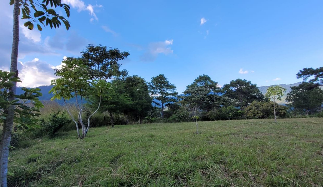 af90ba06-3b0a-490f-afb9-aecd95f68407