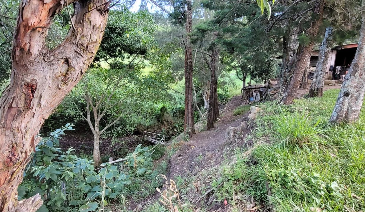 b839e2ba-1b0b-4926-9caa-bbd0aa512220