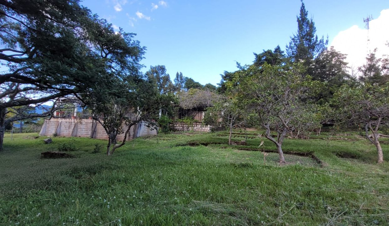 b84a0ee8-6206-405b-8d55-9bb8f2ae49ca