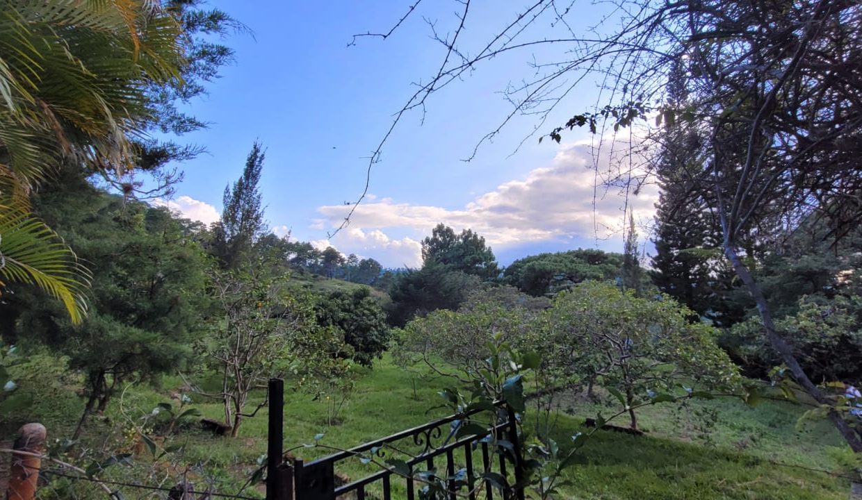 d7c4f817-176c-4c44-829d-f80e80bdad2f