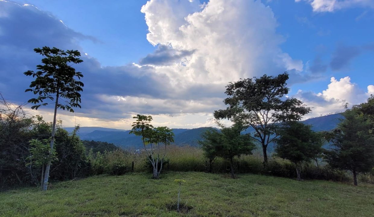 fb8e8cad-aefb-43bf-b925-344f9b42c20b