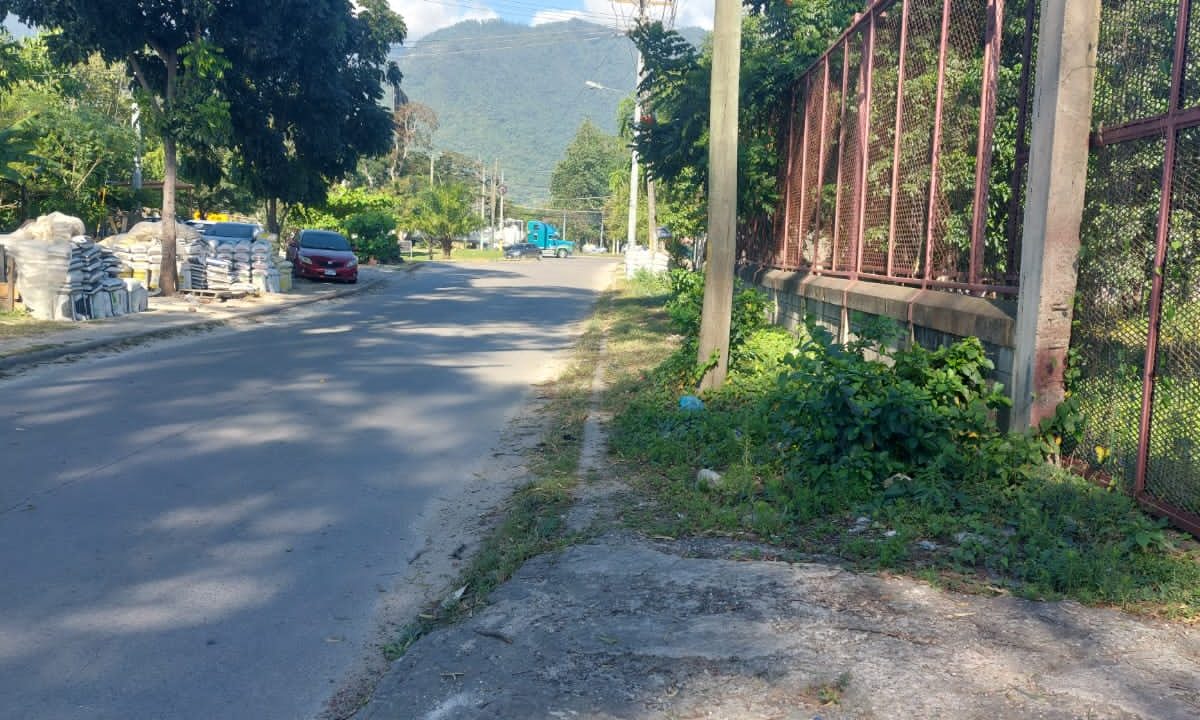 IMG-20230208-WA0041