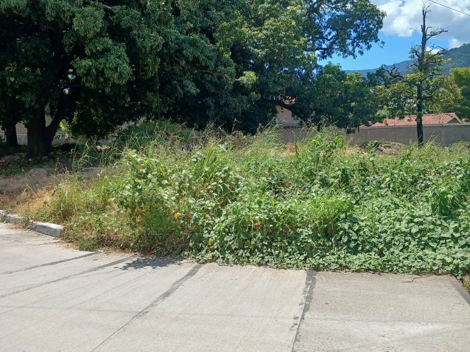 WhatsApp Image 2023-10-10 at 1.58.34 PM (1)