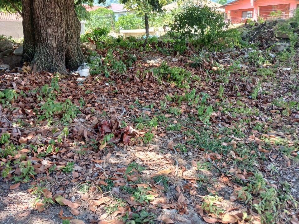 WhatsApp Image 2023-10-10 at 1.58.34 PM (2)