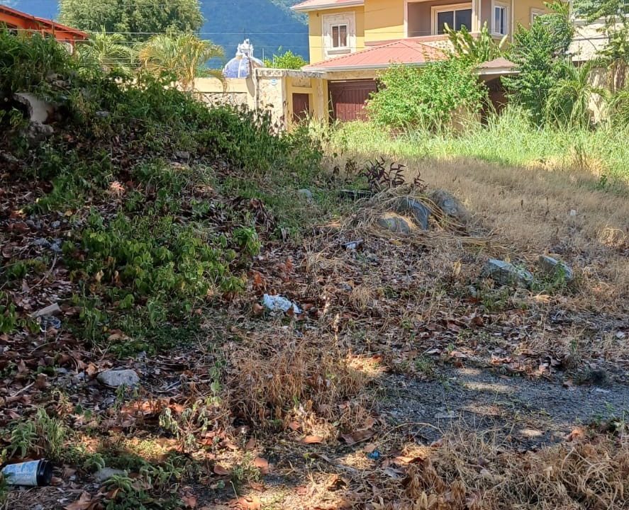 WhatsApp Image 2023-10-10 at 1.58.34 PM (3)