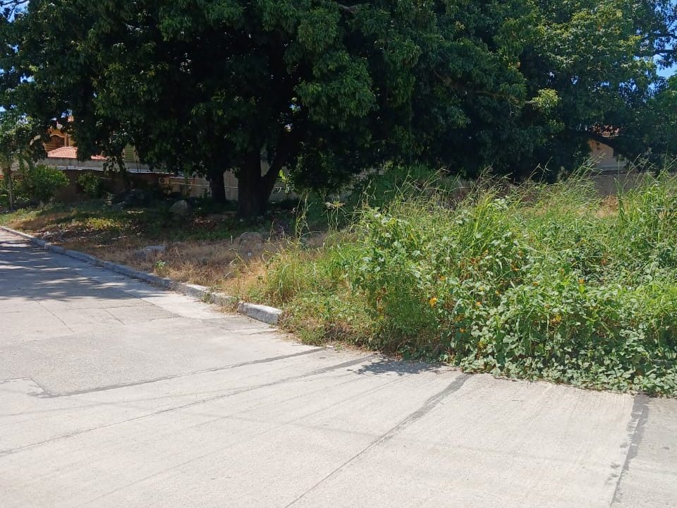 WhatsApp Image 2023-10-10 at 1.58.34 PM