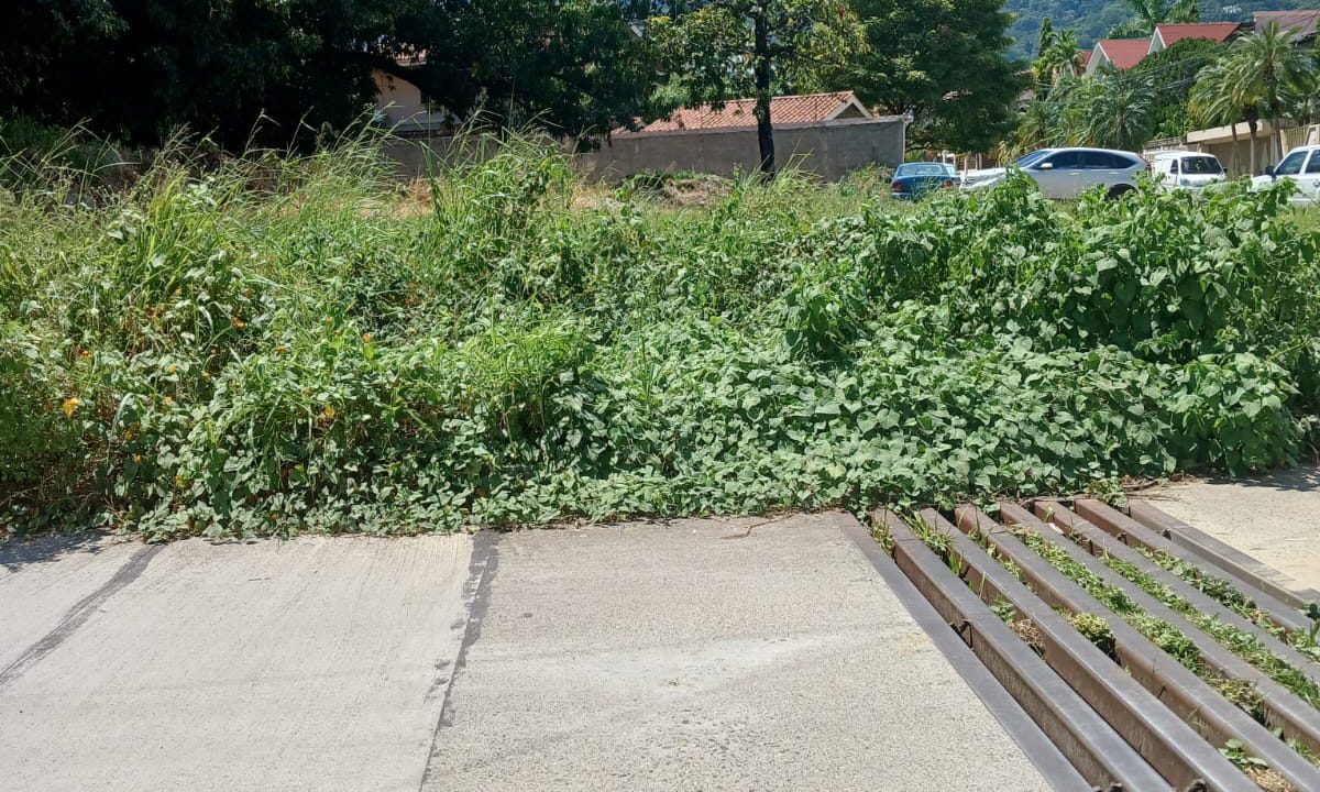 WhatsApp Image 2023-10-10 at 1.58.35 PM (1)