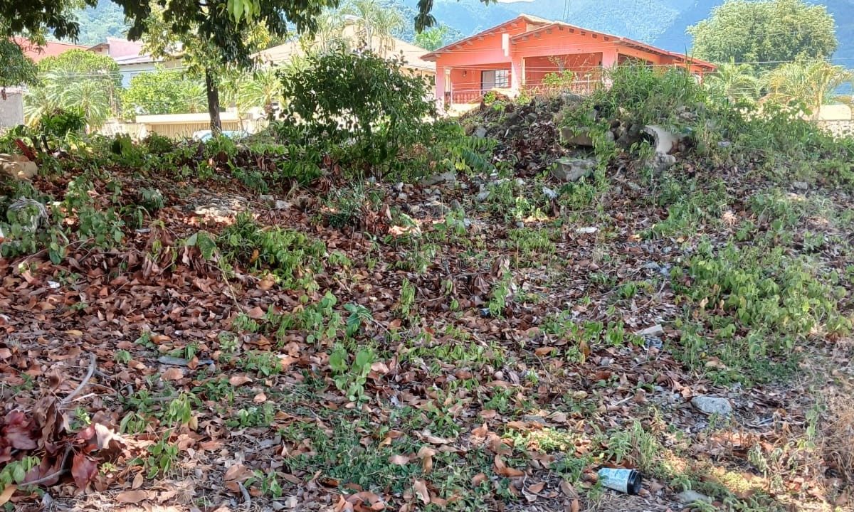 WhatsApp Image 2023-10-10 at 1.58.35 PM