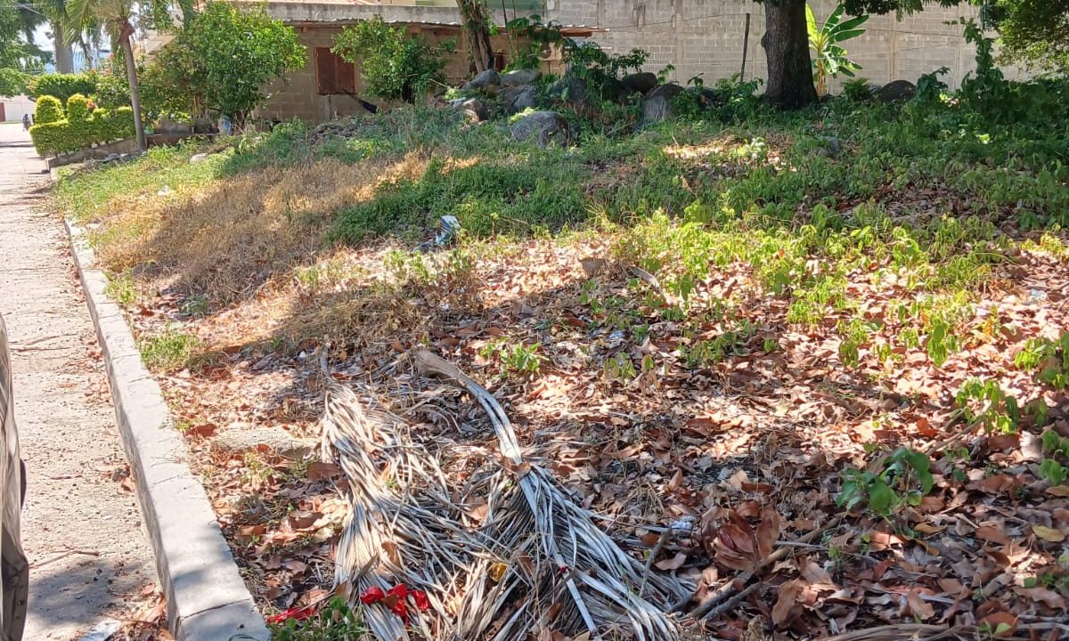 WhatsApp Image 2023-10-10 at 1.58.35 PM (2)