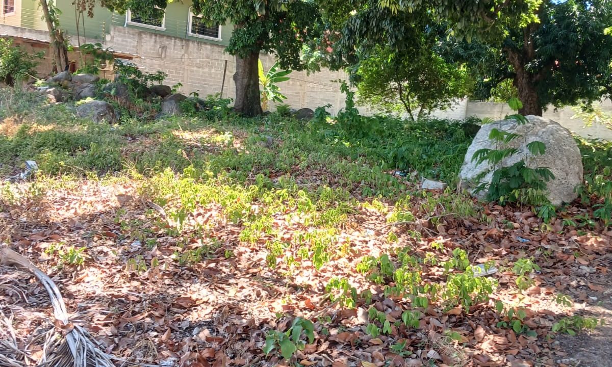 WhatsApp Image 2023-10-10 at 1.58.35 PM (3)