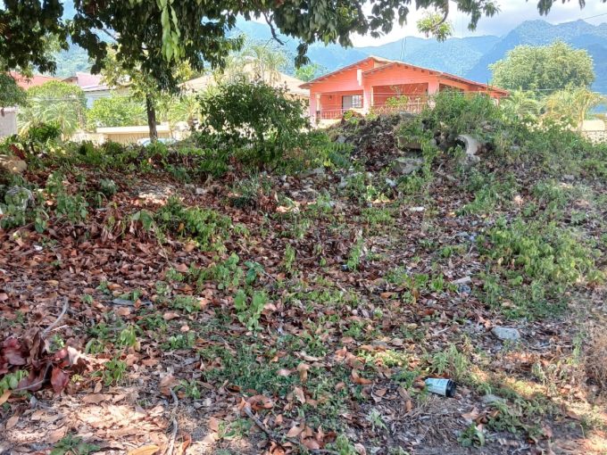 Venta de Terreno en Colonia Figueroa